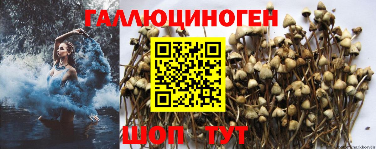 Галлюциногенные грибы Magic Shrooms  закладки  Большой Камень  Вход с VPN 